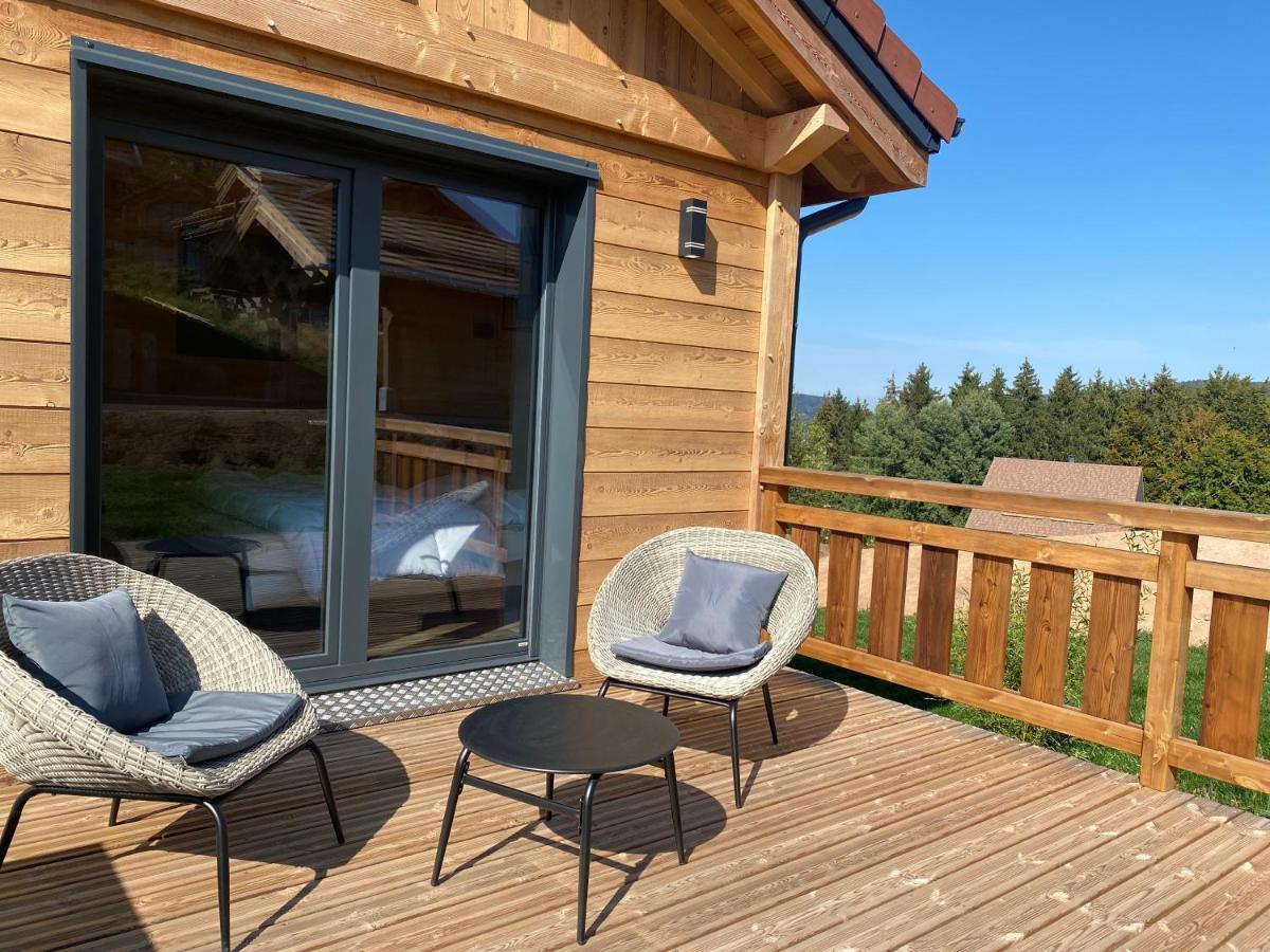 L'adret Du Temps 10 Personnes 170m2 * Gérardmer
